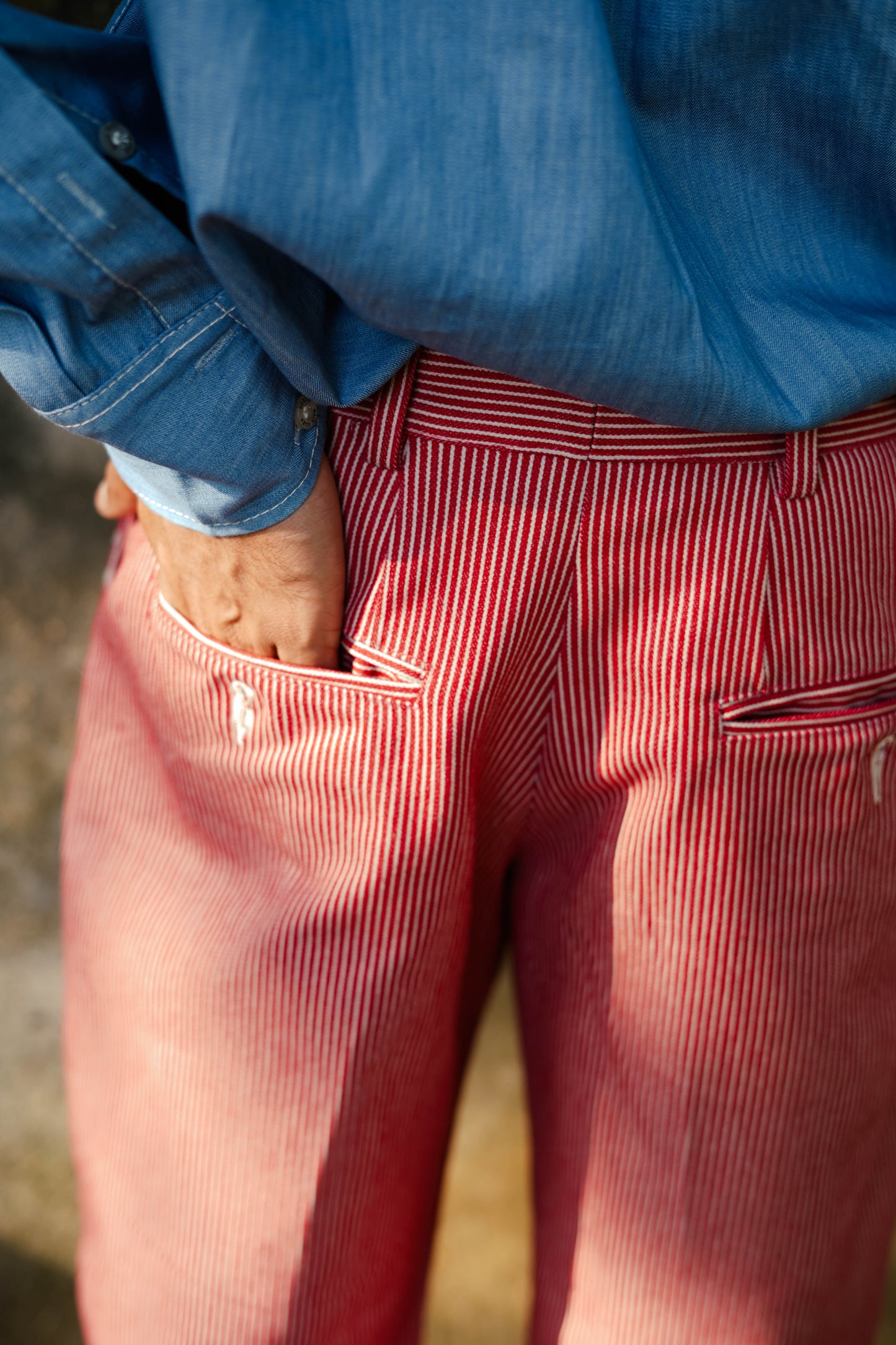 Striped Double Pleated Denim Trousers